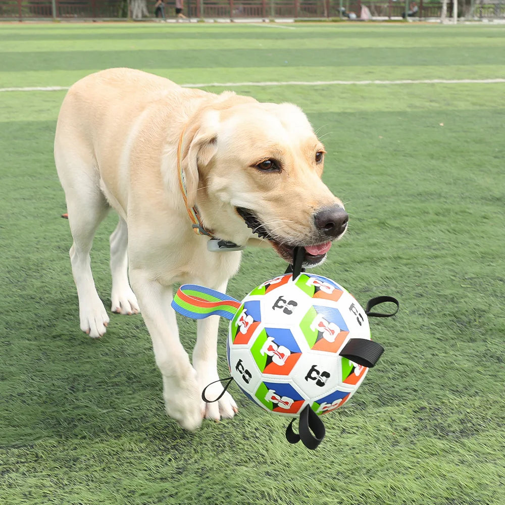 Interactive Chewable Dog Football Toy with Handles Durable Training Soccer Ball Outdoor Water Playing Entertainment Pet Toy