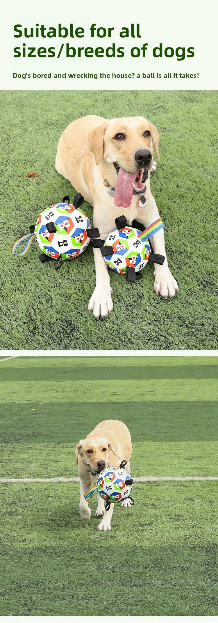 Interactive Chewable Dog Football Toy with Handles Durable Training Soccer Ball Outdoor Water Playing Entertainment Pet Toy